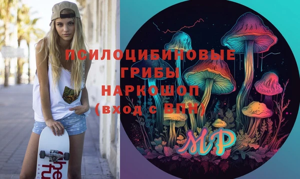 эйфоретик Алзамай