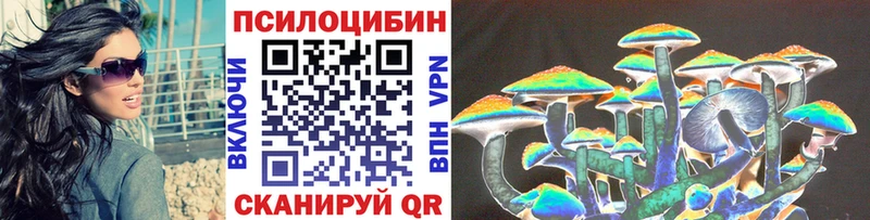 Галлюциногенные грибы Psilocybe где найти наркотики Николаевск